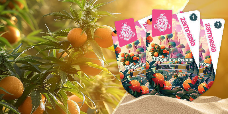 Tangerine Dream Tangerine Dream