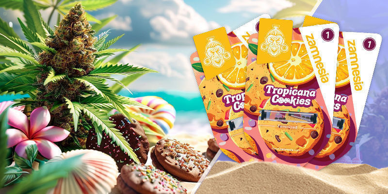 Tropicana Cookies Tropicana Cookies