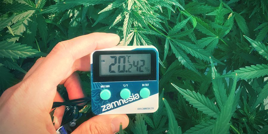 cannabisodlingssystem