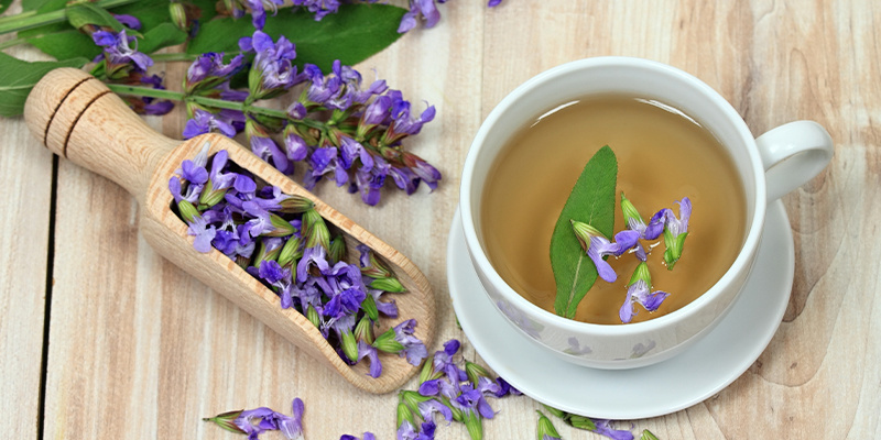 Hur fungerar Salvia divinorum? Hur fungerar Salvia divinorum?