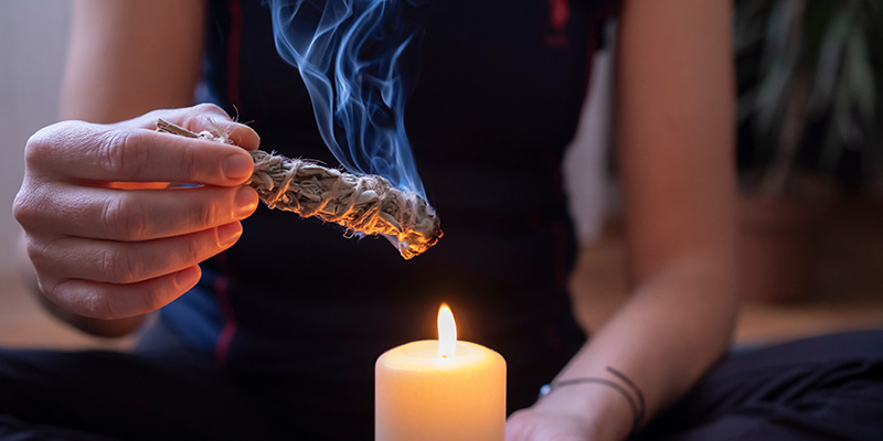 Var du kan köpa Salvia divinorum och viktiga säkerhetsaspekter Var du kan köpa Salvia divinorum och viktiga säkerhetsaspekter