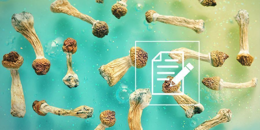 Vad du behöver veta om shrooms (magiska svampar) Vad du behöver veta om shrooms (magiska svampar)