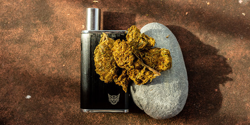 Guide för cannabinoidtemperatur Cannabinoid Temperature Guide