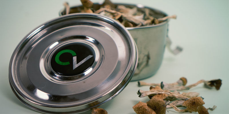 Förvaring av torkade magiska svampar Storing Dried Magic Mushrooms