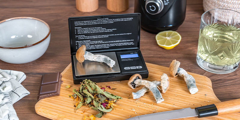5 sätt att konsumera magiska svampar 5 Ways To Consume Magic Mushrooms