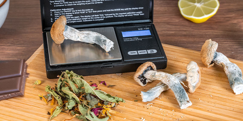 Spelar det någon roll hur du konsumerar magiska svampar? Does It Matter How You Consume Magic Mushrooms?
