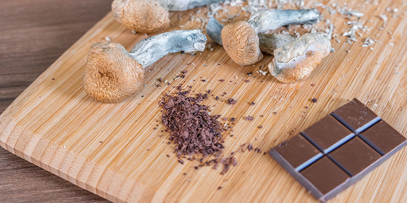 Äta ätbara med magiska svampar Eating Magic Mushroom Edibles