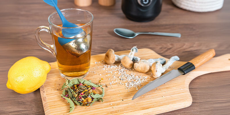 Säkerställ en positiv psilocybinsupplevelse Ensuring A Positive Psilocybin Experience