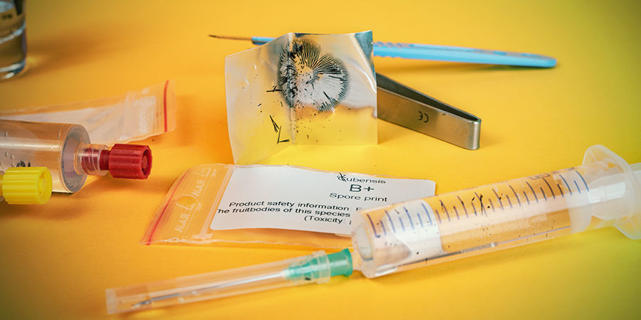 Så gör du en sporspruta för magiska svampar How To Make A Magic Mushroom Spore Syringe
