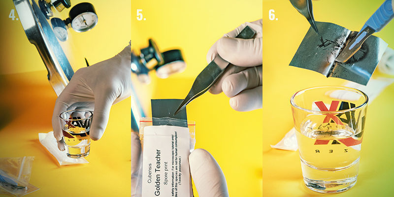 Steg-för-steg: sporspruta (steg 4–6) Spore Syringe Step-By-Step Directions: Steps 4-6