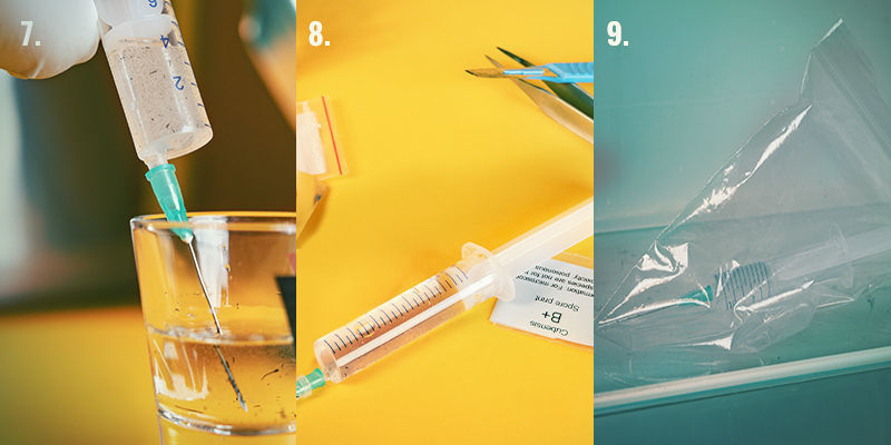 Steg-för-steg: sporspruta (steg 7–9) Spore Syringe Step-By-Step Directions: Steps 7-9