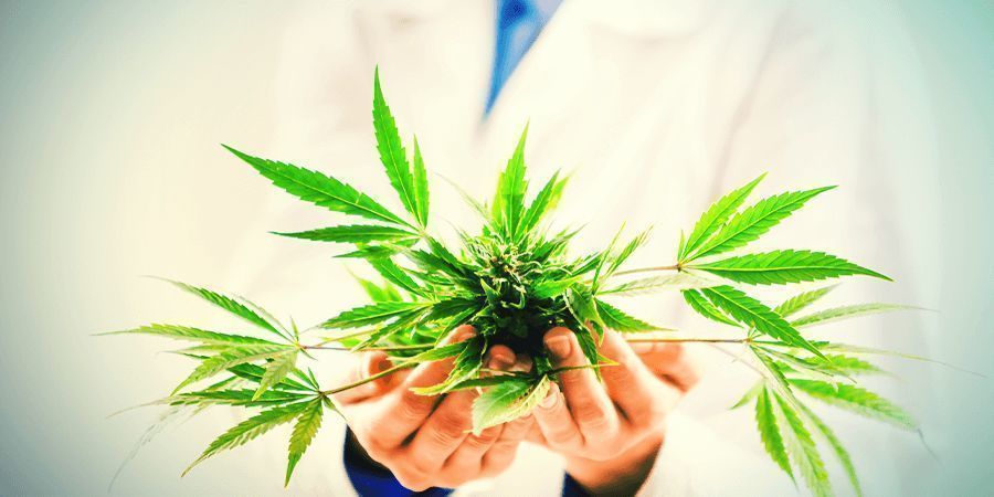 Vad gör CBD?