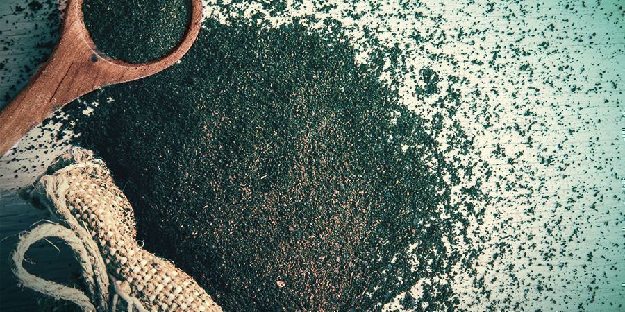 Kaffesump Prevent Mushroom Flies - Coffee Grounds