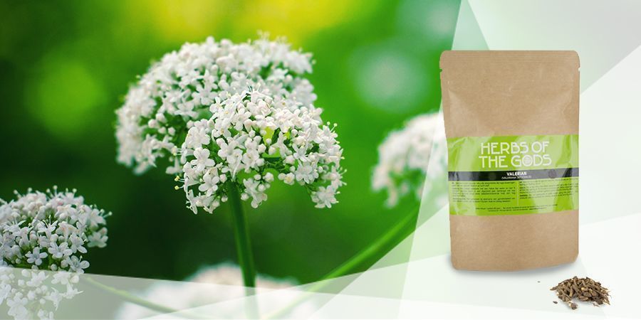 Vänderot – vape-örter för gott humör