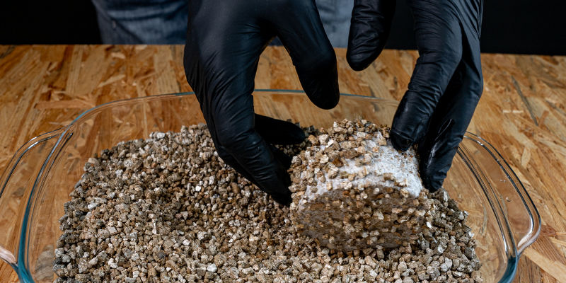 Rulla dem i vermikulit PF tek roll them in vermiculite