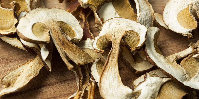 Mikrodosering av psykedeliska och icke-psykedeliska svampar Microdosing Psychedelic And Non-Psychedelic Mushrooms