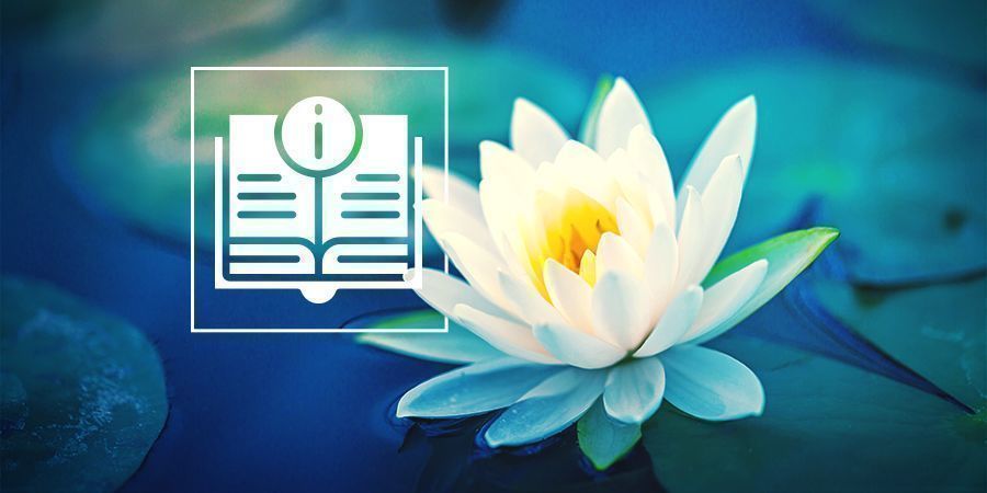 Allt du behöver veta om vit lotus Allt du behöver veta om vit lotus
