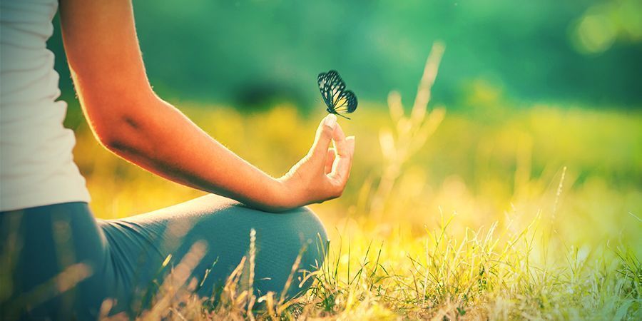 Vilka effekter har vit lotus? VILKA EFFEKTER HAR VIT LOTUS?