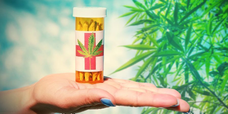 Kollektiv Cannabiskollektiv: ideella organisationer