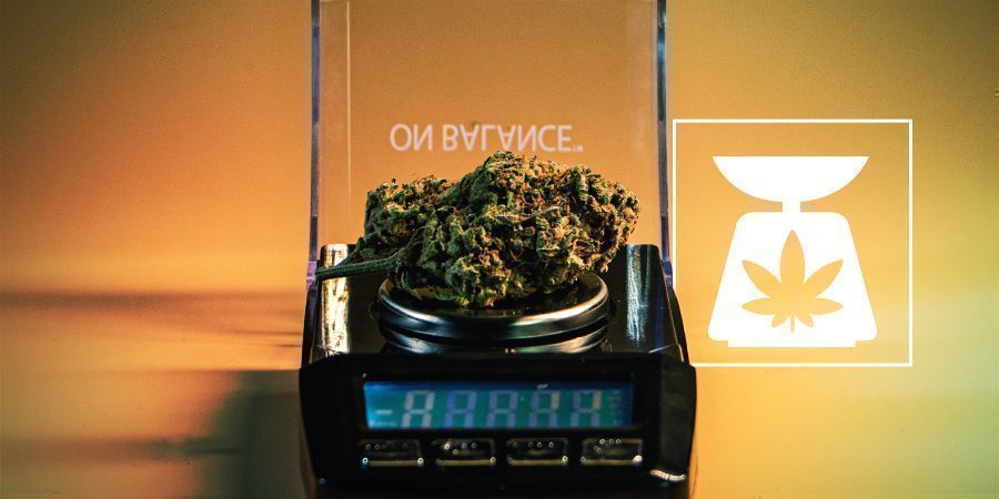 Cannabisvikter: allt du behöver veta Cannabisvikter: allt du behöver veta