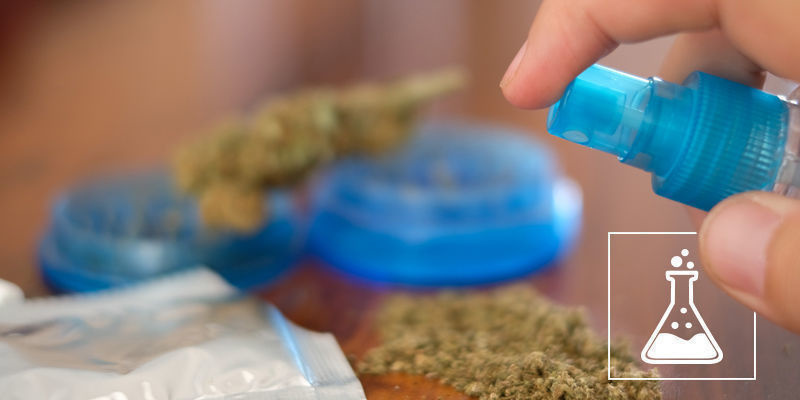 Vad är syntetisk cannabis? Vad är syntetisk cannabis?