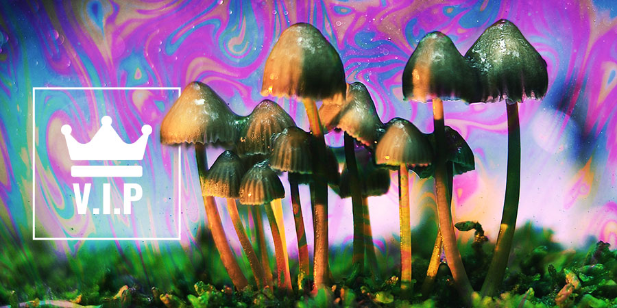 Psykedelika: VIP-profiler Psykedelika: VIP-profiler