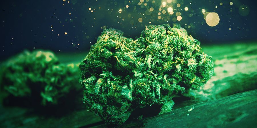 Cannabisblomma CANNABIS FLOWER
