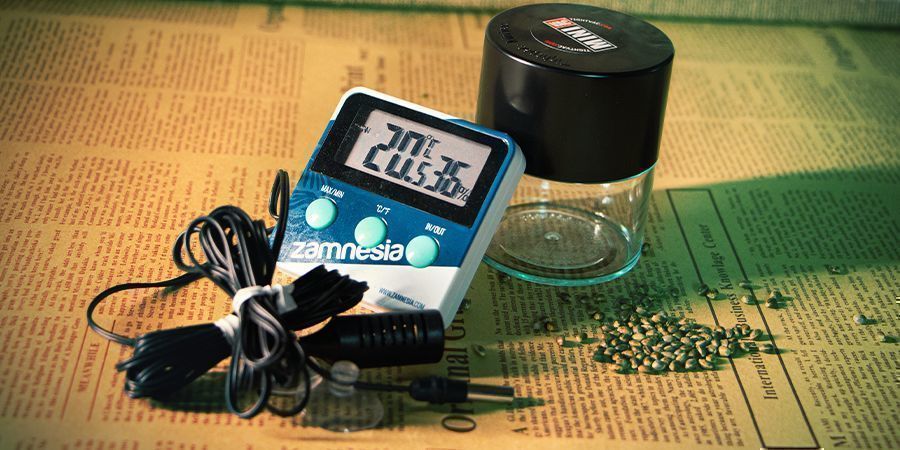 Faktorer att tänka på när du förvarar Cannabisfrön