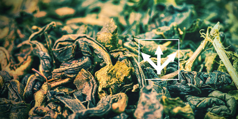 Varianter av gunpowder-te GUNPOWDER TEA VARIETIES