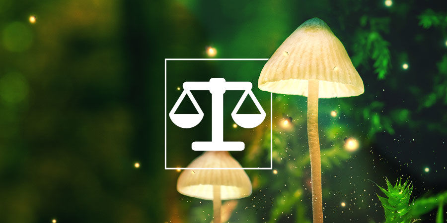 Så väger och doserar du psykedelika på ett säkert sätt How To Weigh And Dose Psychedelics