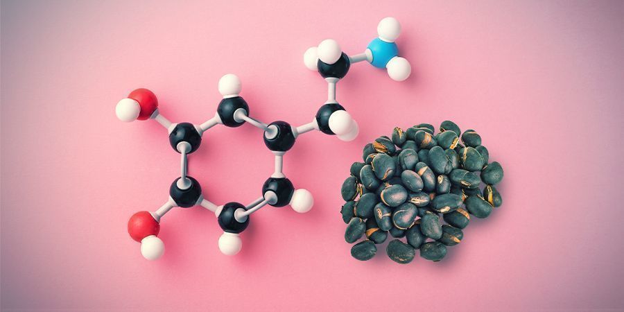 Aktiva ämnen och effekter VELVET BEAN: ACTIVE INGREDIENTS AND EFFECTS