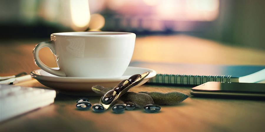 Så använder du velvet bean Så använder du velvet bean