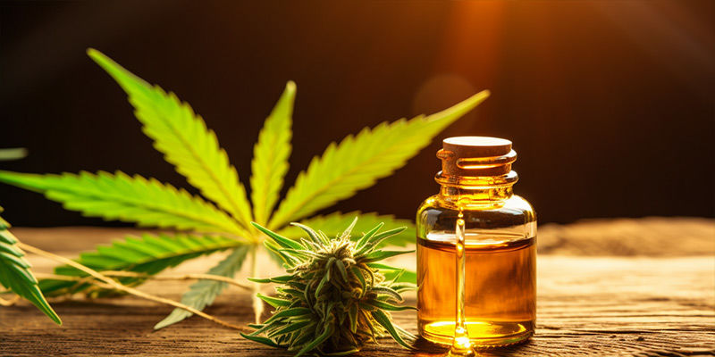 CBD-oljor och tinkturer CBD oils and tinctures