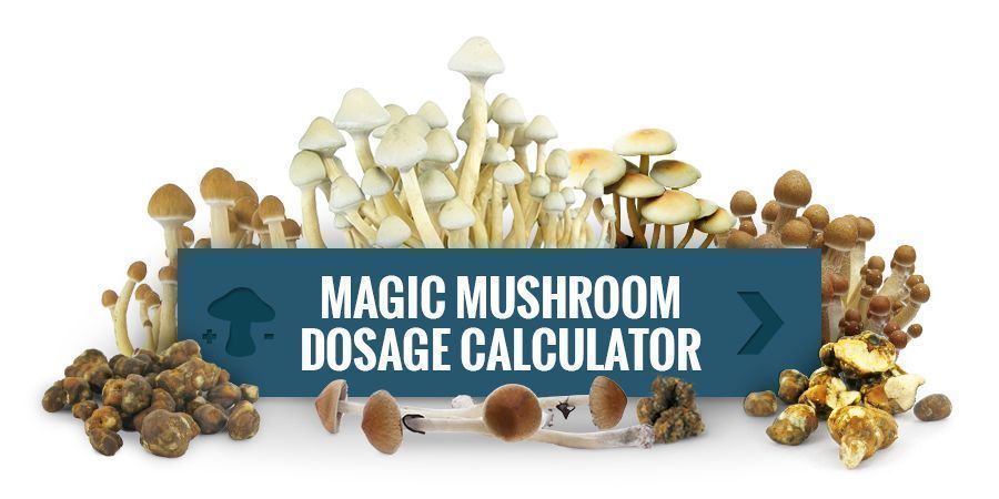 Magic Mushroom Dosage Calculator Magic Mushroom Dosage Calculator