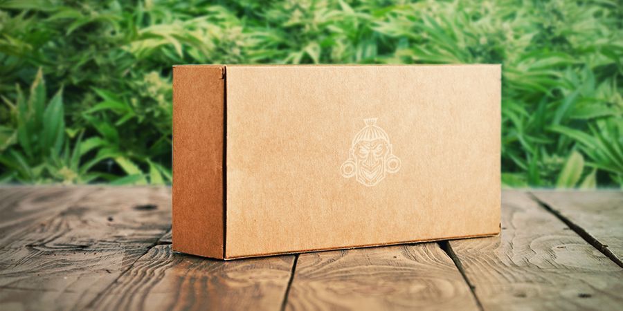Fri frakt på Cannabisfrön Fri frakt på Cannabisfrön Zamnesia