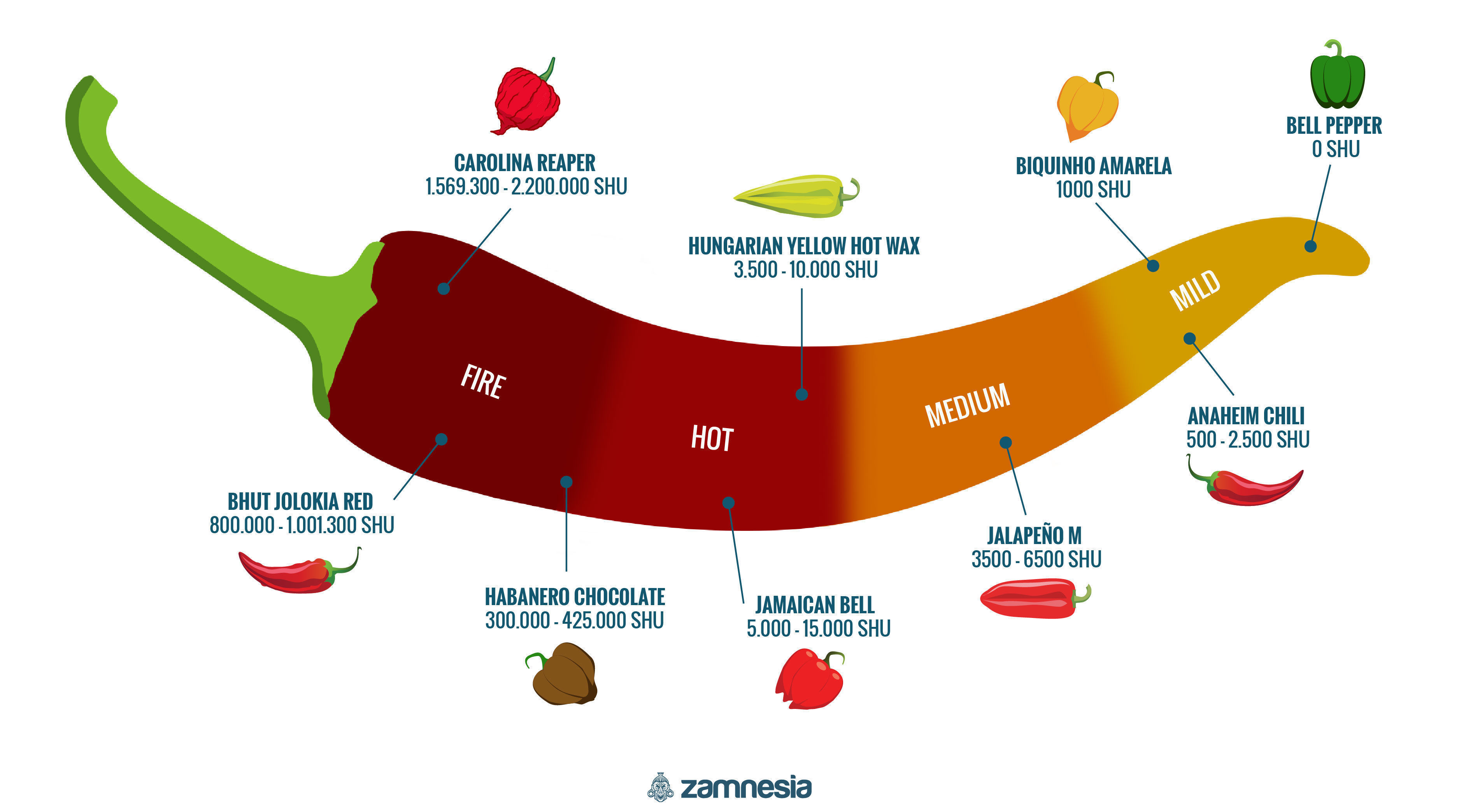 Infografik om stark chili