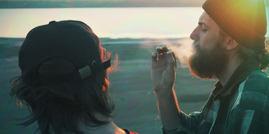 Cannabiseffekter Cannabis Seedfinder: Cannabiseffekter