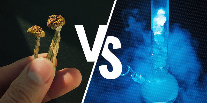Vad är skillnaden mellan Smartshop och Headshop? What's the Difference Between Smartshops and Headshops?