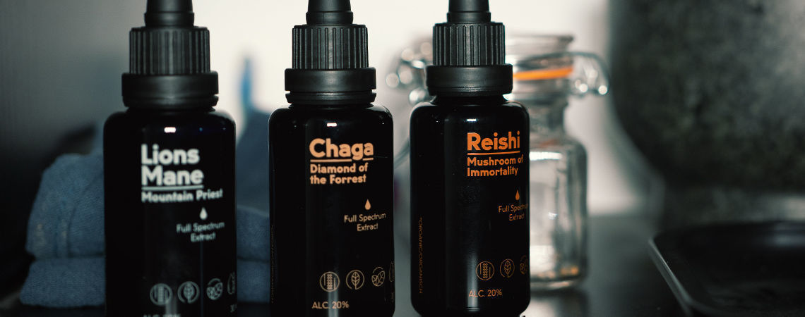 Information About Mushroom Tinctures Information About Mushroom Tinctures