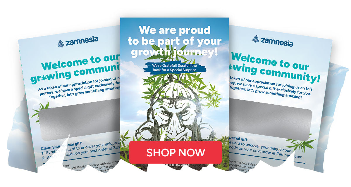 Skraplotter Scratch Cards