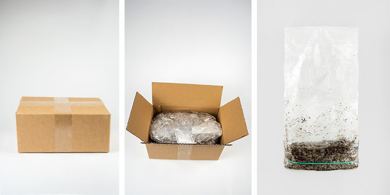 Vad ingår i Zamnesia Ready-2-Grow Bag? Vad ingår i Zamnesia Ready-2-Grow Bag?