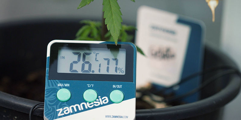 Så använder du Zamnesia hygrometer/termometer Så använder du Zamnesia hygrometer/termometer