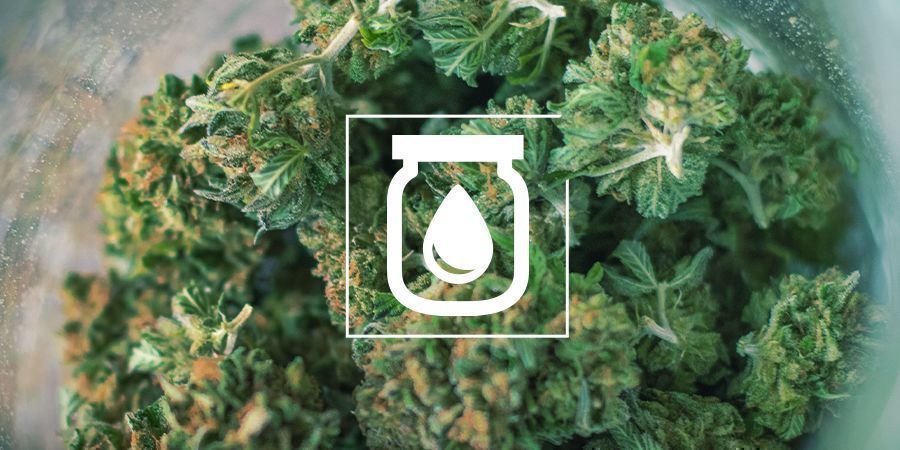 Vattenhärdning av cannabis: vad det är och hur du gör Vattenhärdning av cannabis: vad det är och hur du gör