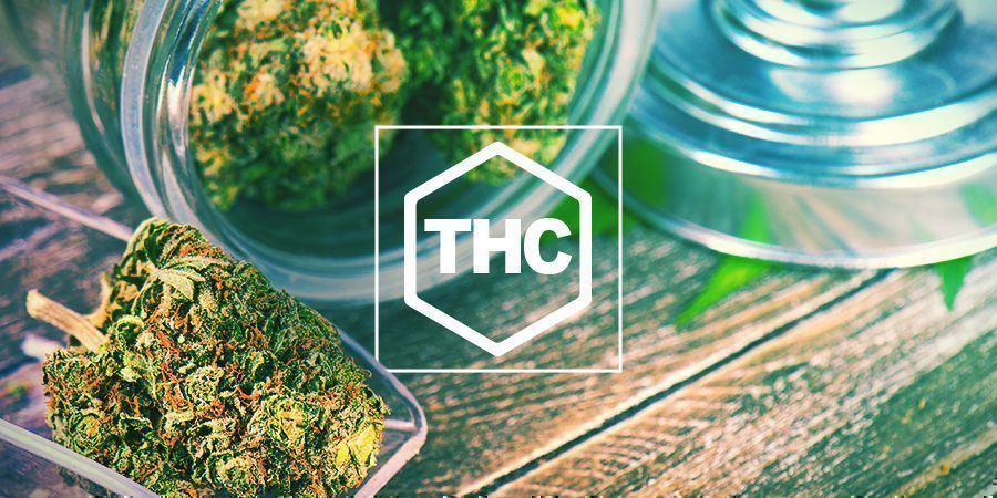 THC i cannabis THC i cannabis