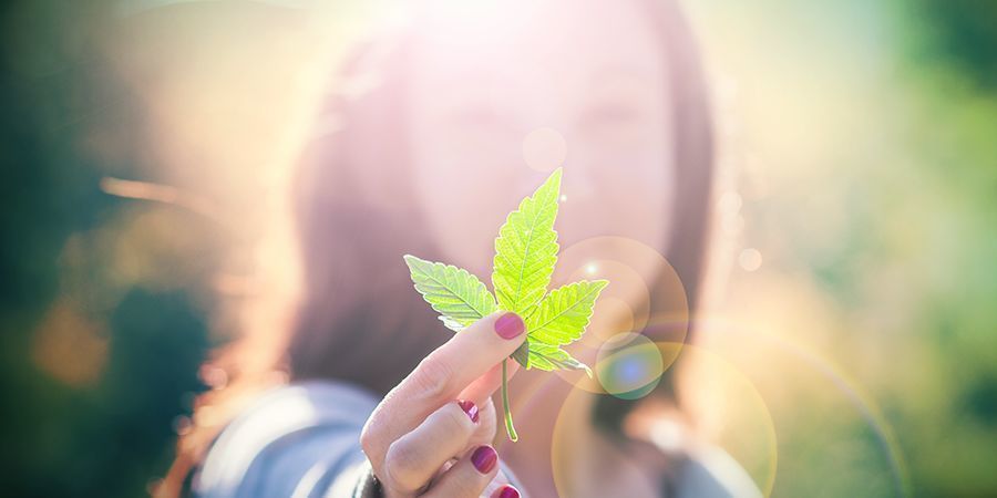 Cannabisentusiaster Cannabisentusiaster