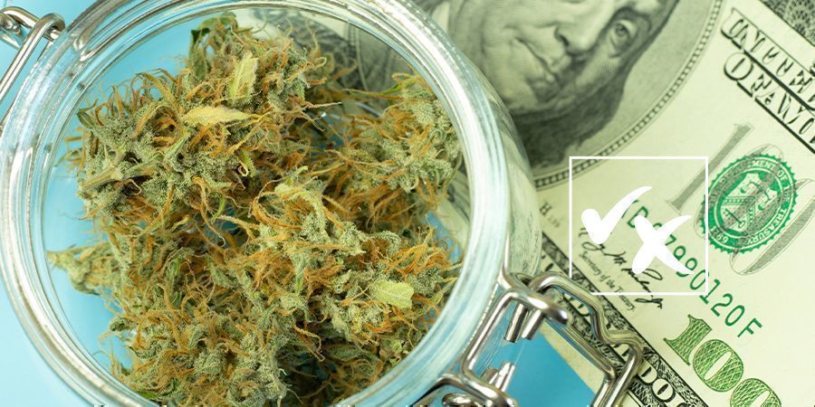 För- och nackdelar med autoflower frön