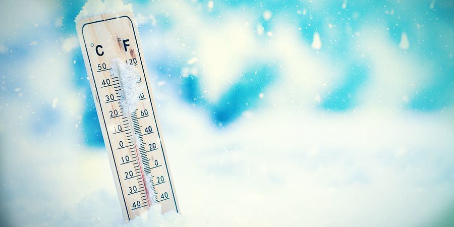 Tips för kallare klimat Tips For Cooler Climates