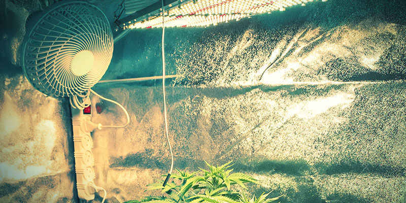 Ett exempel på ett odlingsrum A Sample Grow Room