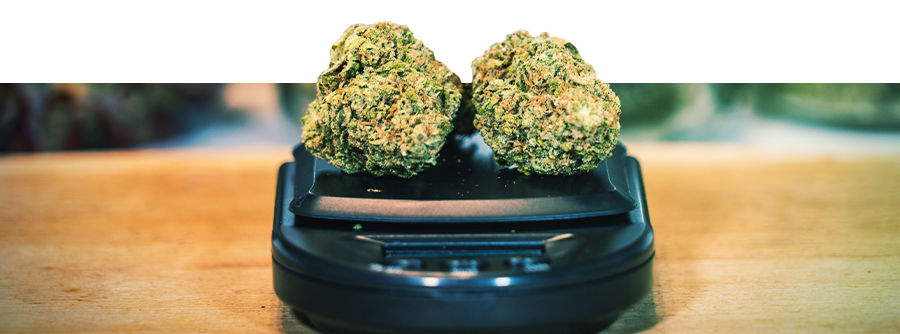 Cannabisv&aring;gar