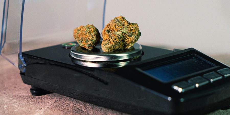 Viktiga specifikationer för en våg Important Weed Scale Specs